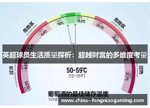 英超球员生活质量探析:超越财富的多维度考量 英超球员生活质量探析:超越财富的多维度考量