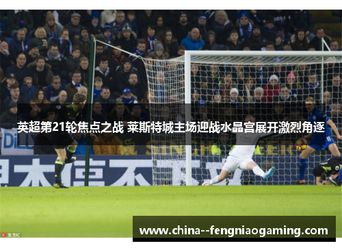 英超第21轮焦点之战 莱斯特城主场迎战水晶宫展开激烈角逐
