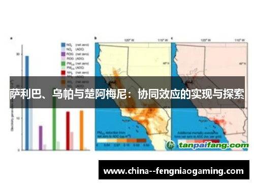 萨利巴、乌帕与楚阿梅尼:协同效应的实现与探索 萨利巴、乌帕与楚阿梅尼:协同效应的实现与探索