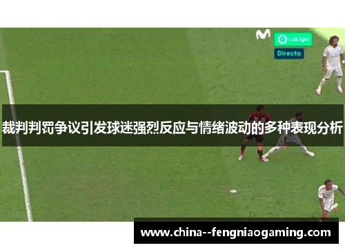 裁判判罚争议引发球迷强烈反应与情绪波动的多种表现分析