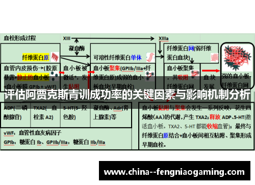 评估阿贾克斯青训成功率的关键因素与影响机制分析