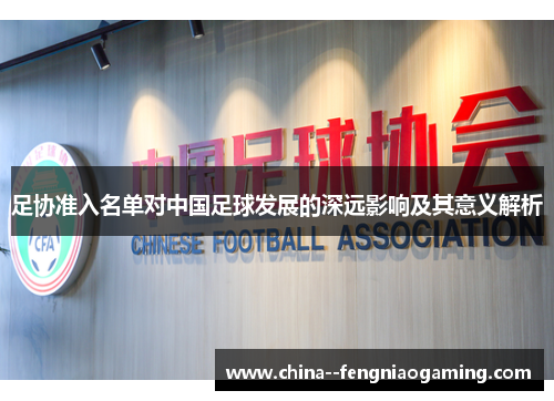 足协准入名单对中国足球发展的深远影响及其意义解析