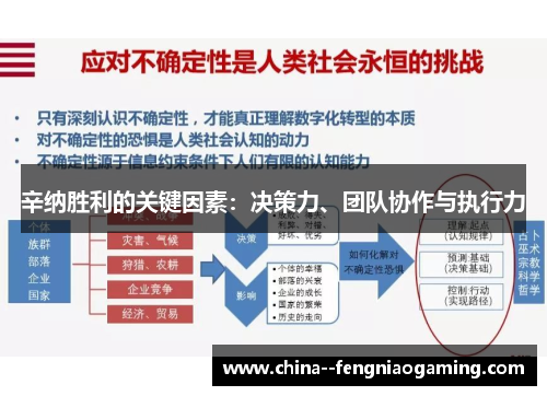 辛纳胜利的关键因素：决策力、团队协作与执行力