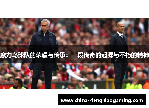 魔力鸟球队的荣耀与传承：一段传奇的起源与不朽的精神